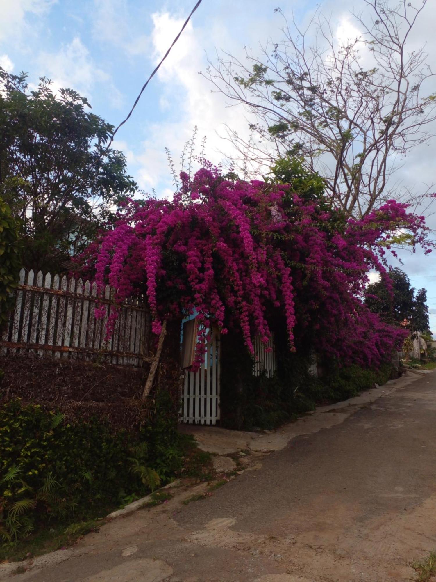 Ly'S Homestay جيا نغيا المظهر الخارجي الصورة